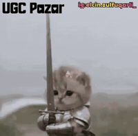 Cat Omg GIF by UGCPazar