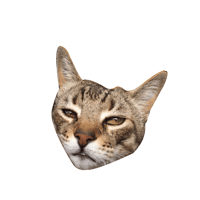 Salvador Sticker by Koralle