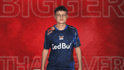 Rb Leipzig Sign GIF by Bundesliga