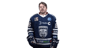Hockey Hari GIF by Fehervar AV19