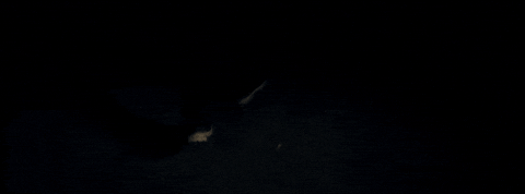 God Whispered Your Name GIF by Keith Urban