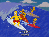 homer simpson surfing GIF