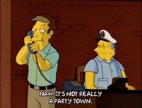 the simpsons episode 24 GIF