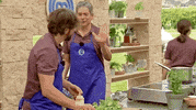 Omg Omg Omg Wtf GIF by MasterChef España