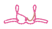 NorthWestCancerResearch breast cancer symptom north west cancer research how to check Sticker