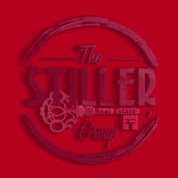 Soldbystiller GIF by TheStillerGroup