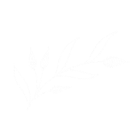 thesharonwebster fun design flower simple Sticker