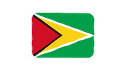 emojivid emoji flag emojivid guyana Sticker