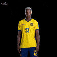 Fifa World Cup Ecuador GIF by Respective