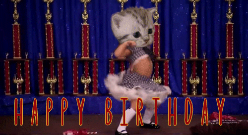 Digital art gif. Kitten's head has been photoshopped on top of a woman who is doing the pump dance with full energy. The kitten's face is deadpan as the woman's body jams on stage. Text, "Happy Birthday!"