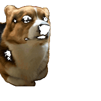 Dog Share Sticker