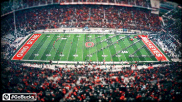 Ncaa Sports GIF by Ohio State Athletics