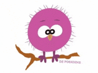 depoekoeks poekoeks depoekoeks poekie togetherforcharity GIF