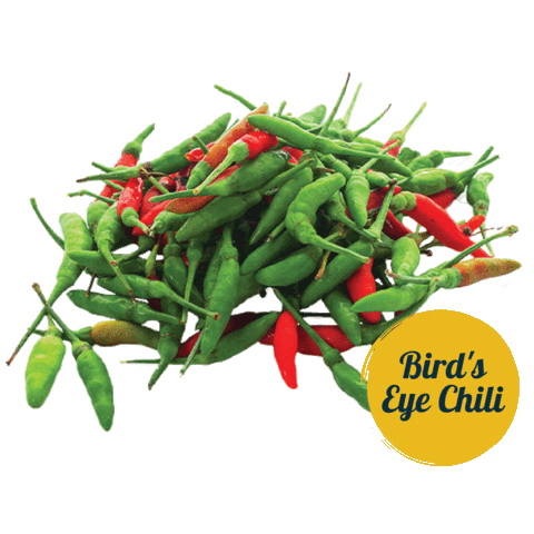 Chili Sticker by tadafreshmarket