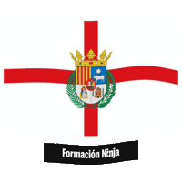 Flag Spain Sticker by Formación Ninja