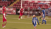 Celebration GIF by Cliftonville Football Club
