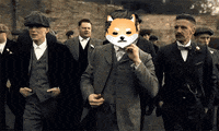 Elon GIF by Dogelon Mars