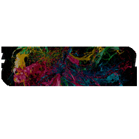 Sede Sicredi Sticker by Sede Sicredi Centro-Sul MS