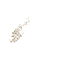 Tag Jeep Sticker by LangleyChrysler