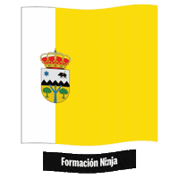 Castilla Y Leon Flag Sticker by Formación Ninja