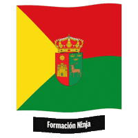 Castilla Y Leon Flag Sticker by Formación Ninja