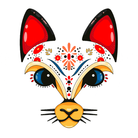 White Cat Face GIF by animalz