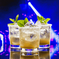 drinks cocktails GIF by Absolut Vodka