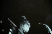 Dont Let Me Fade Away Music Video GIF by Wage War