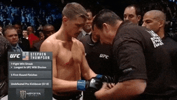 ufc 205 GIF