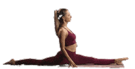 Training Stretching Sticker by Fit & Flexy
