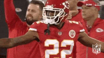Kansas City Chiefs Football GIF by NFL