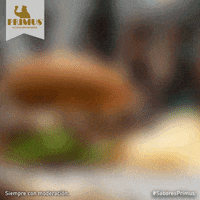 GIF by Cerveceria Primus
