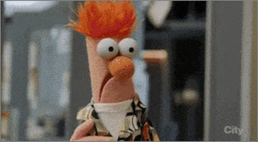 the muppets television GIF