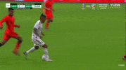 Liga Mx Football GIF by MiSelecciónMX