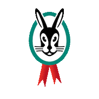 Logo Sticker by Vaillant