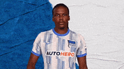 Bundesliga Berlin GIF by Hertha BSC