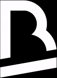 BrandRocks music festival brandrocks brand rocks GIF