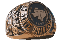 Tarleton State Sticker by TarletonBound