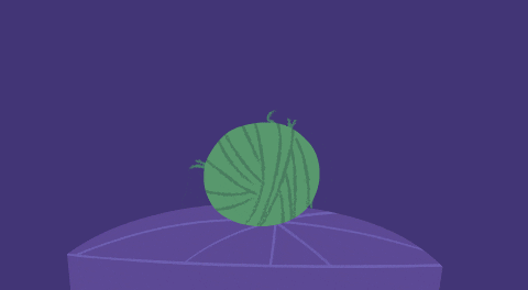 Happy Play GIF by Kitty Is Not A Cat