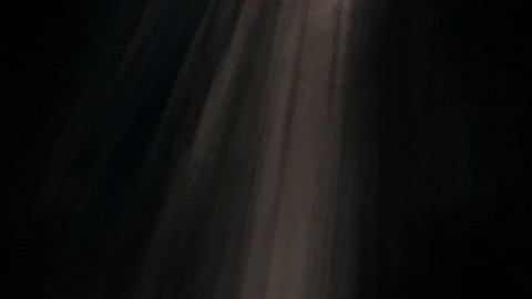 FellowshipMemphis giphyupload GIF