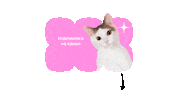 Subscribe Love Sticker by ZenPlatform