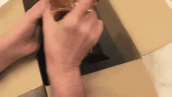 Weird Al Comedy GIF by Recording Academy / GRAMMYs