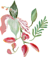 Flower Brazil Sticker by Isolda