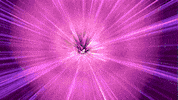 GIF by Disney Pixar