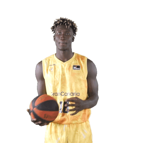 Liga Endesa Basketball Sticker by ACB