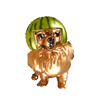 Dua Lipa Dog Sticker by Canek