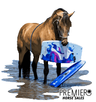 Sticker by MM Auction Services, LLC