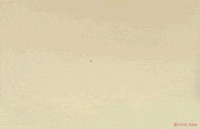 animation art GIF by Will Kim