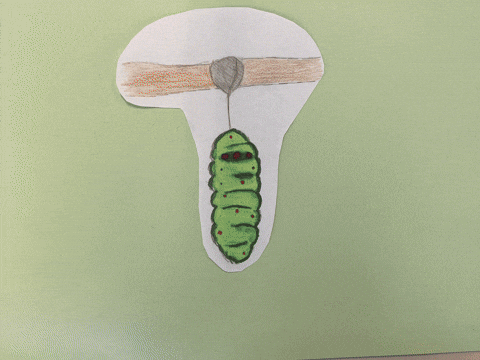 Hethartvanhethout GIF by Kunstkwartier