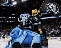 Golden Knights GIF